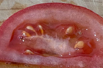 ―良い包丁によけいな力はいらない―　切れ味抜群の包丁レビューのイメージ